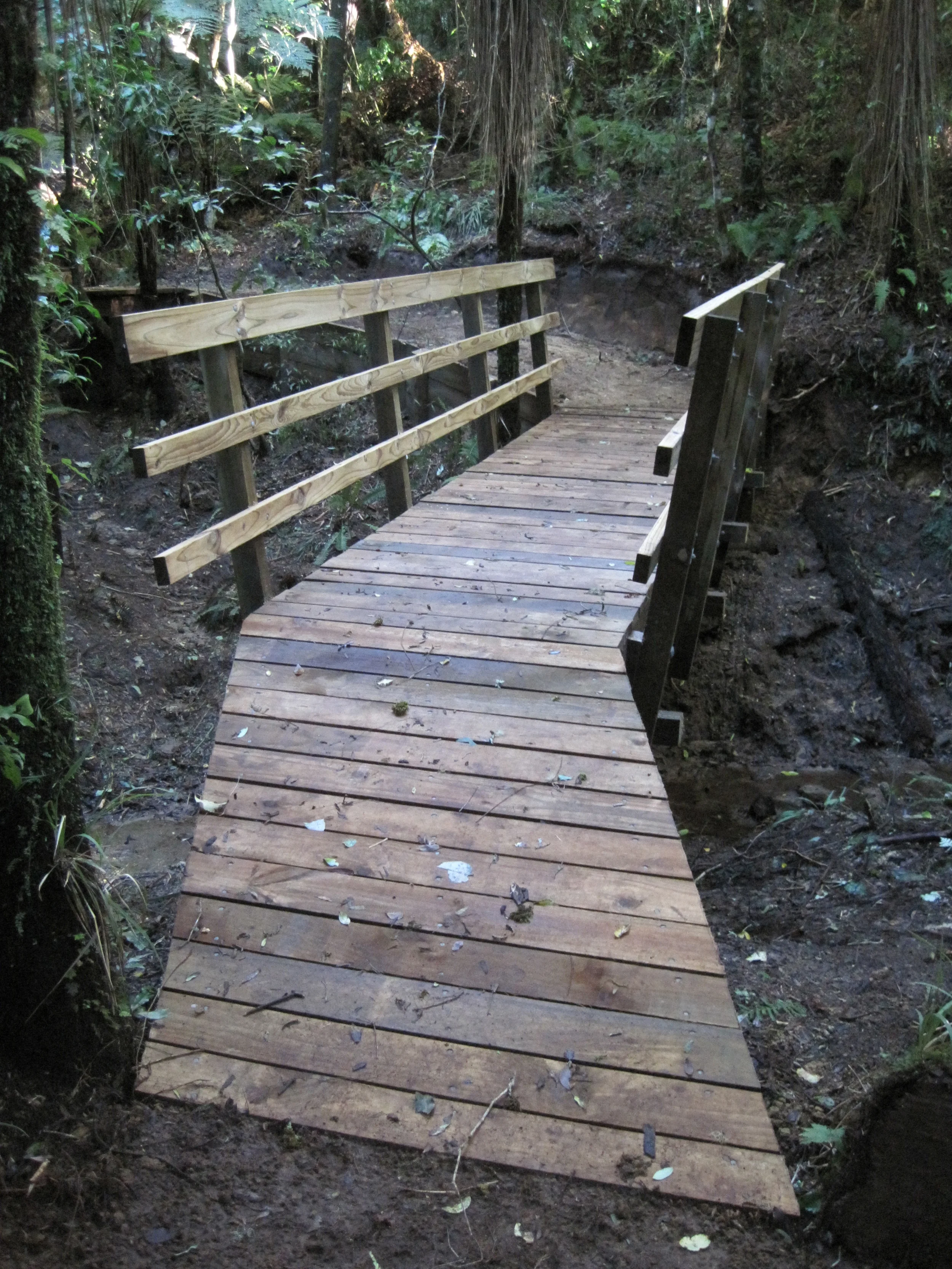 Bridge completed