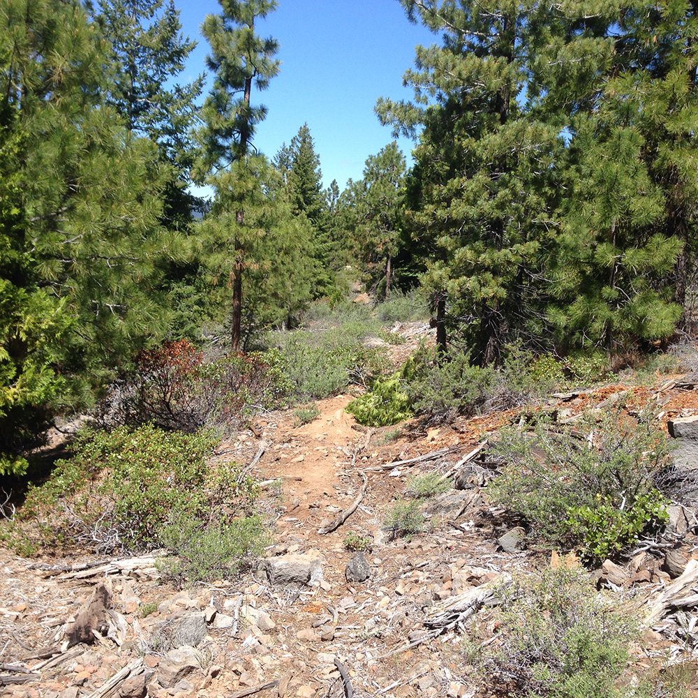 Spence Mountain, Klamath Falls