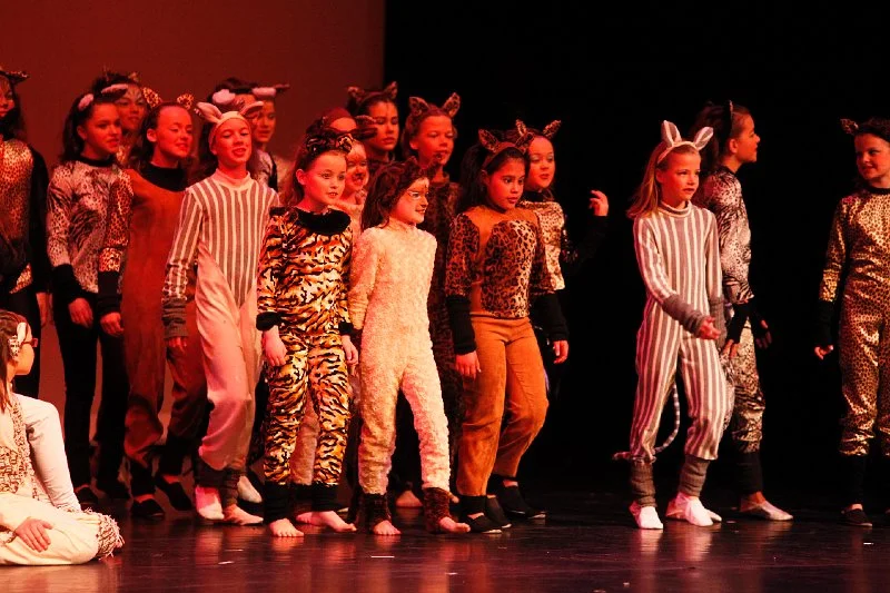 2010-04-17 - schatten van moeder aarde - première veghel - 005.jpg