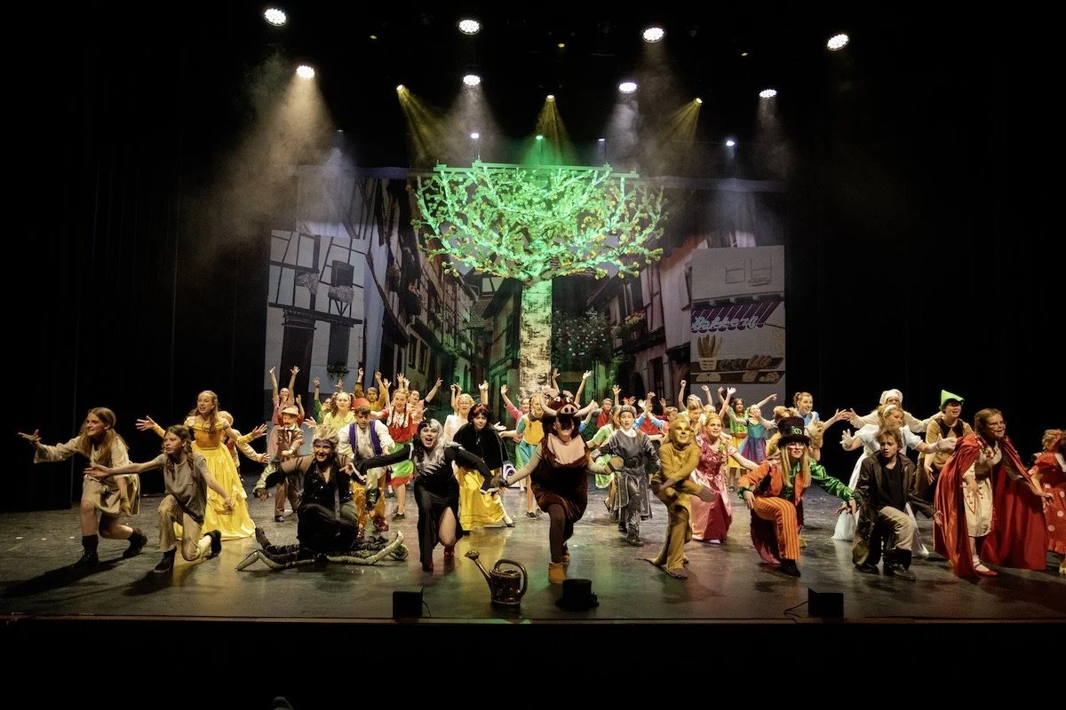 Allerlaatste voorstelling ooit is gespeeld, BMT Producties gestopt (video)