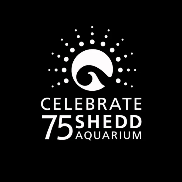shedd75.jpg
