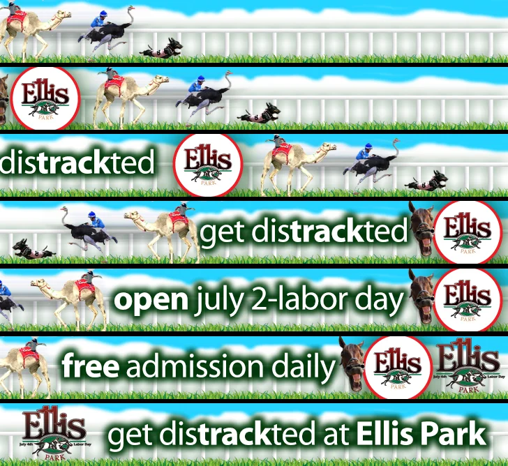 animated web banners