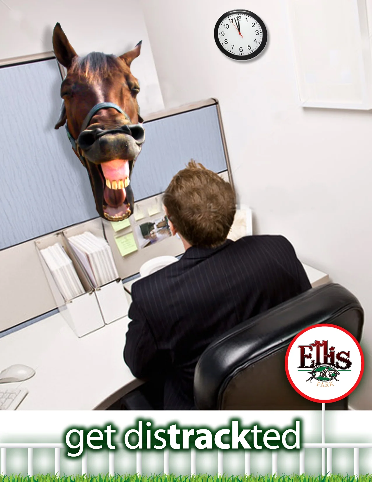 horse_ad.jpg