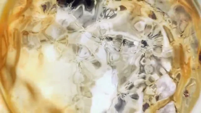 The House of Suntory