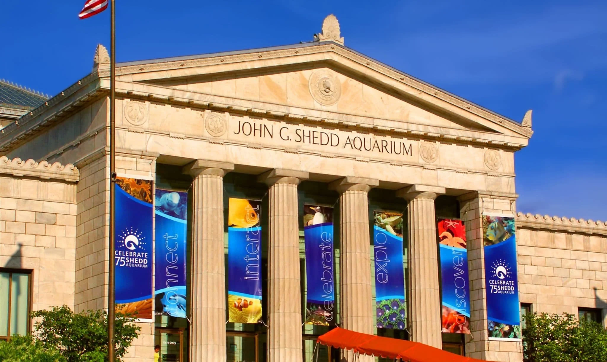 Shedd-Aquarium-scaled.jpg