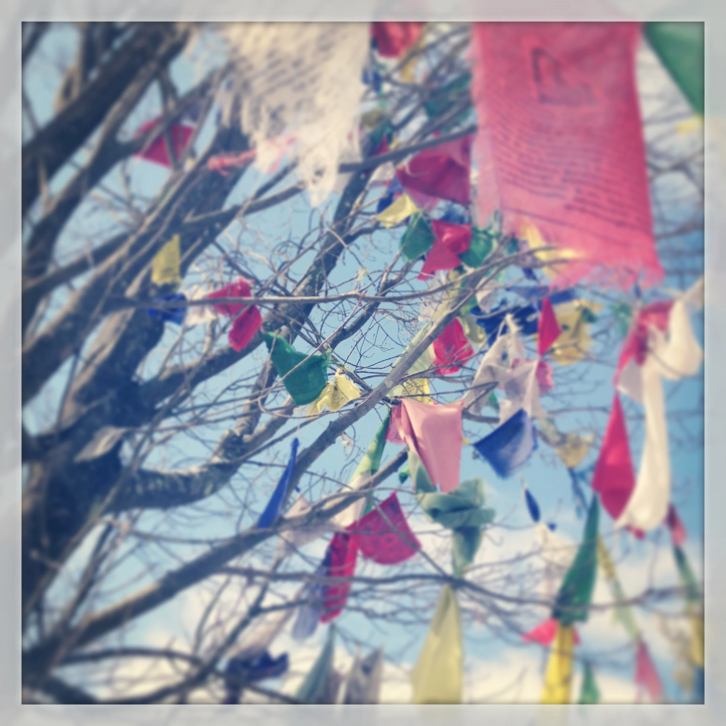 prayer flags 2.JPG
