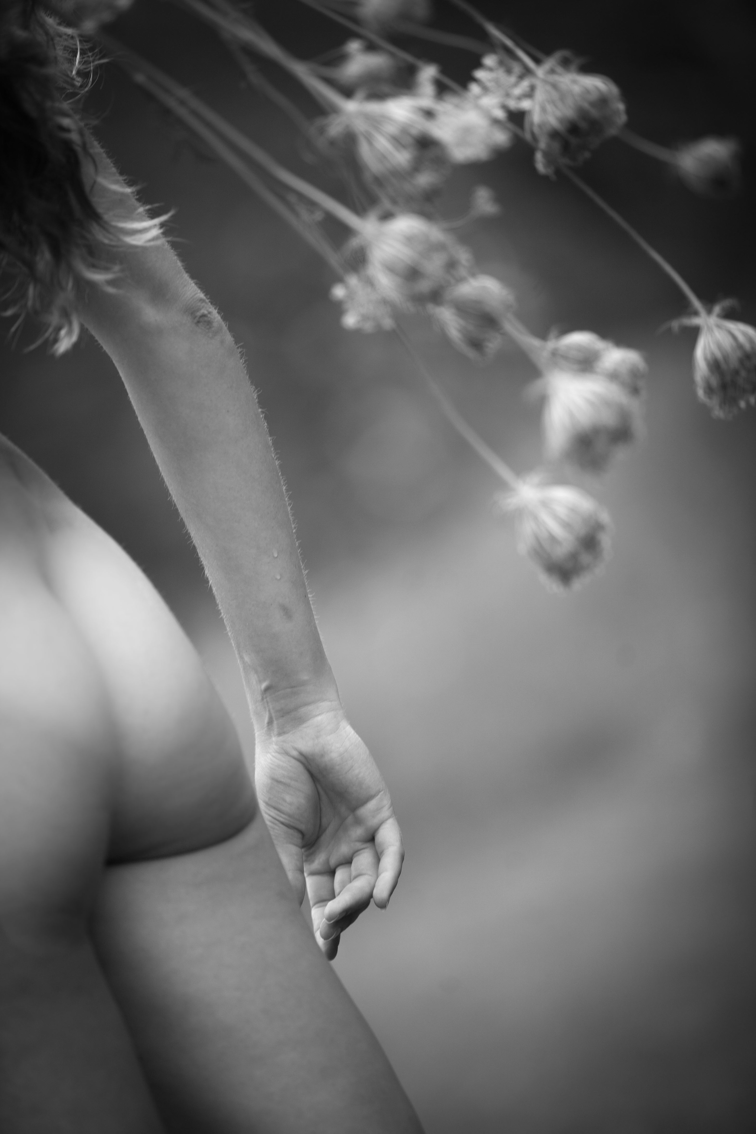 Demeters Return .jpg