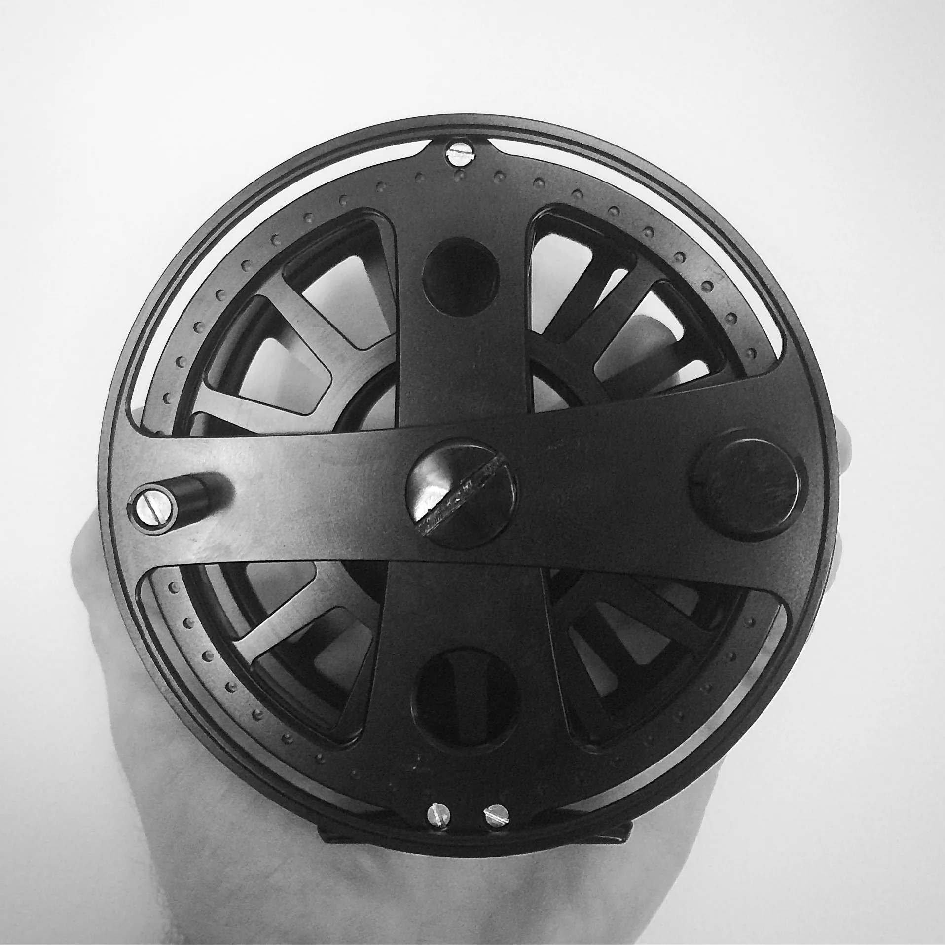 image1.JPG