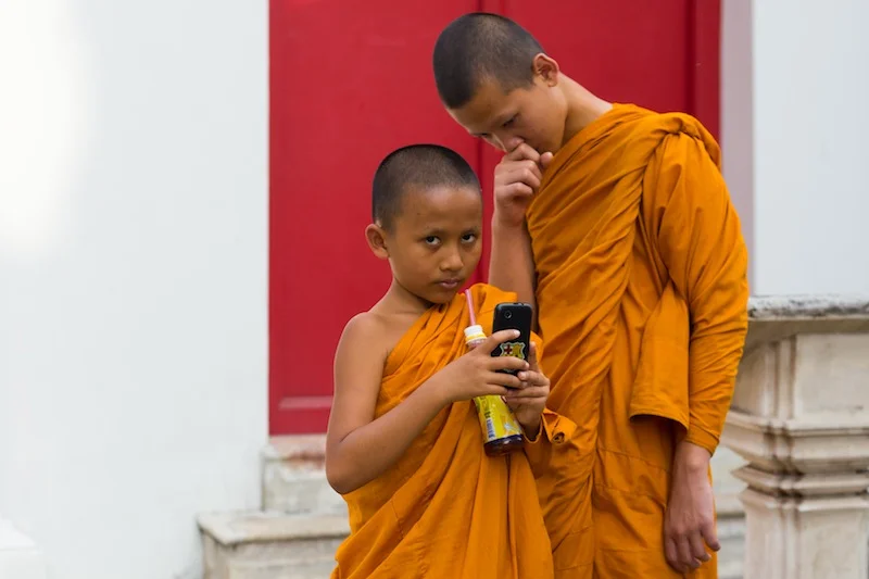 Novices