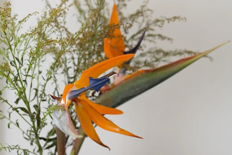 Add some exposure compensation–in this case, 1 stop–and the colours are much better