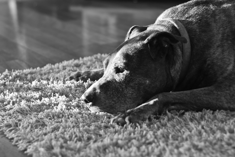 All natural light coming through a window ƒ/2.2 | 1/100 second | ISO 100