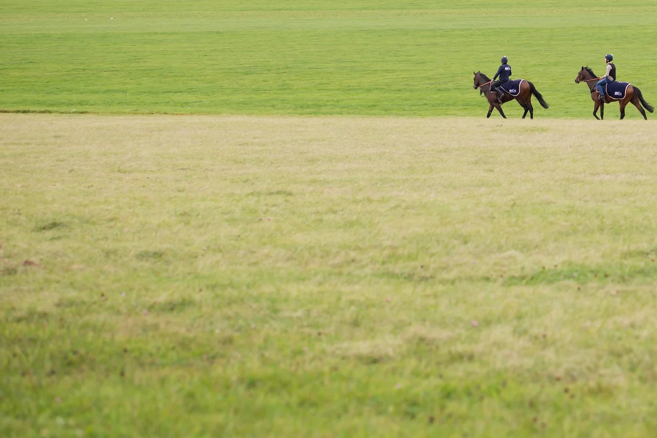 Eight ideas for your 2015 photography project