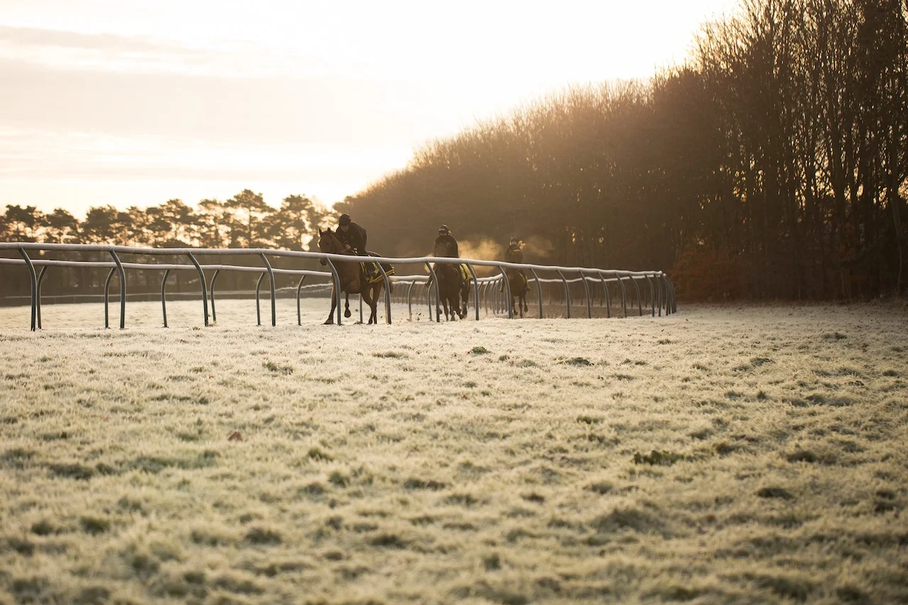 You have a shiny new camera? Come join the Photocritic Photography School!