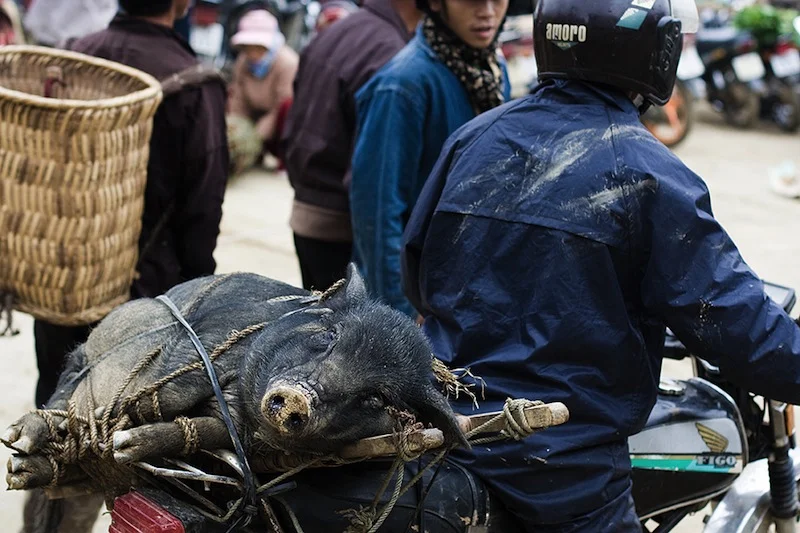 Training your photographic luck