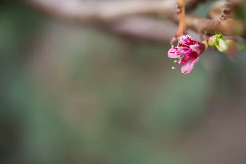 Seeking balance in your photos