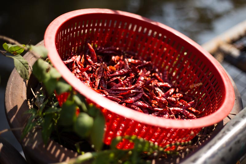 Chilis drying in the sun at 50% quality