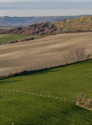 image-627.jpg