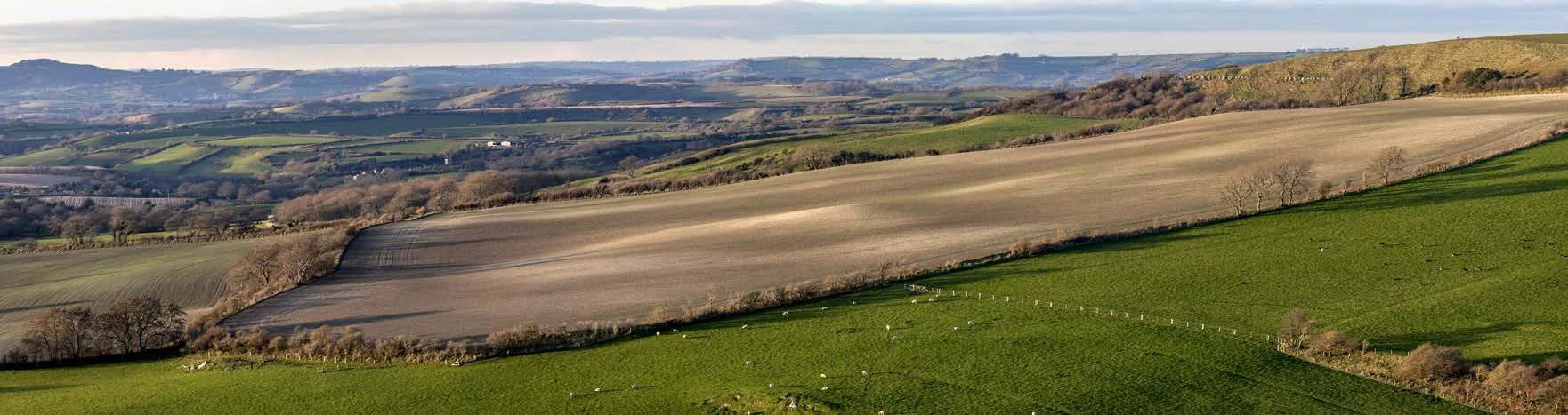 Creating panoramas: a basic guide