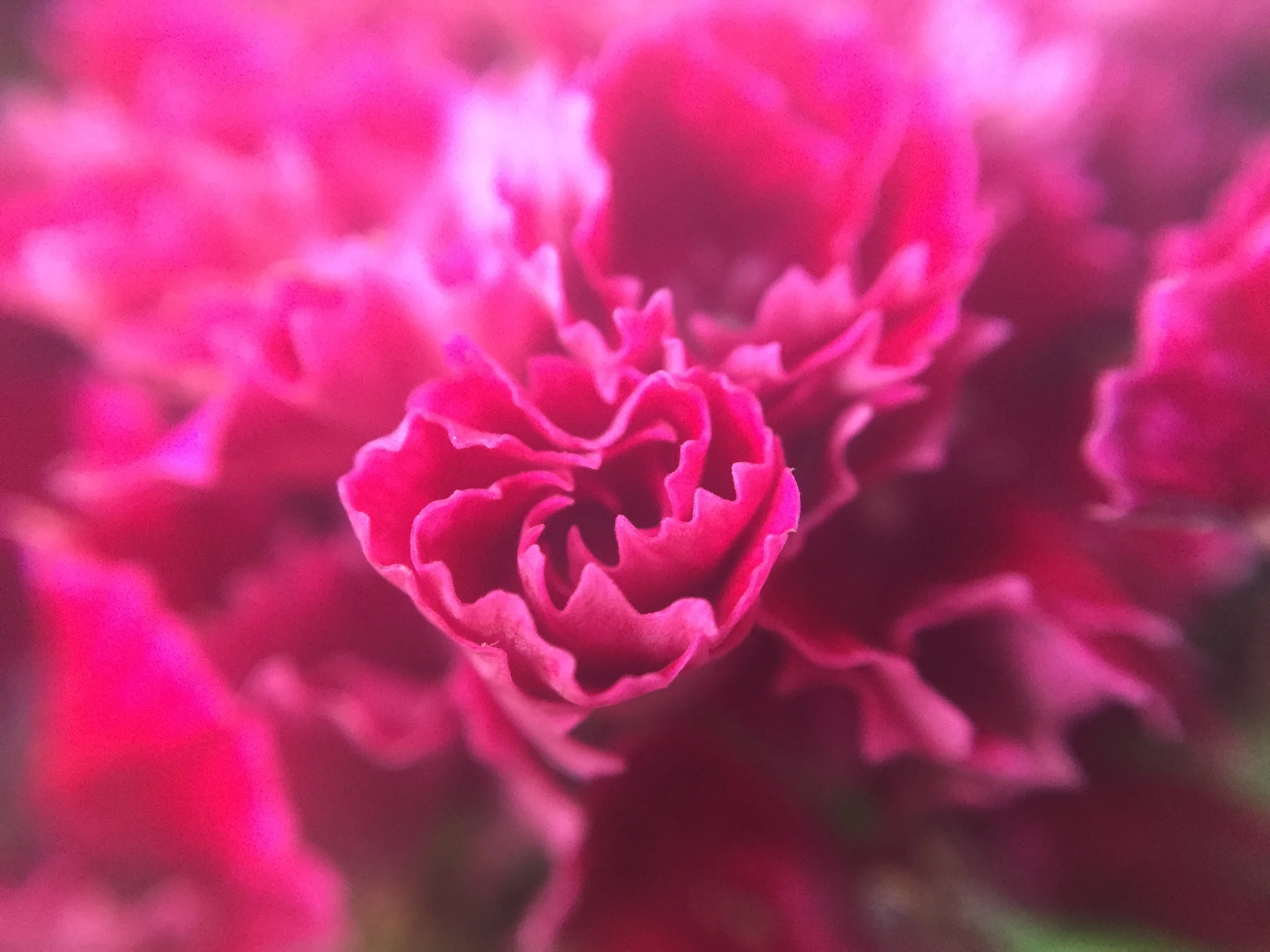 The iPhone's camera has come a long way, baby