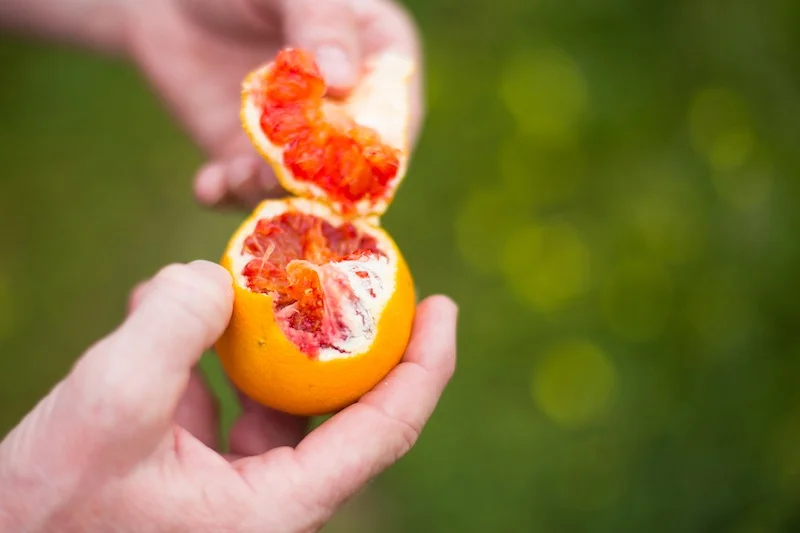 Hard and soft light: a quick guide