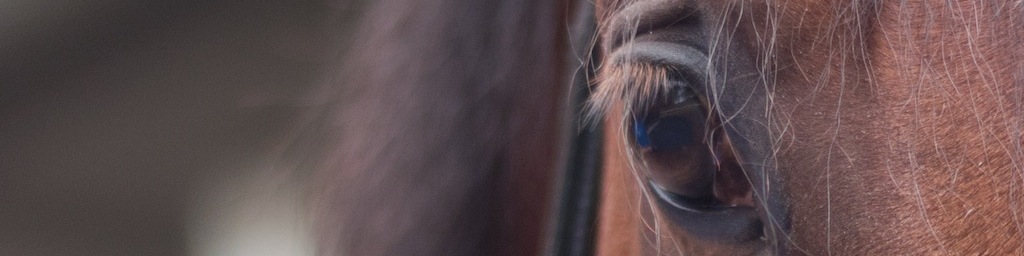 Asraab header.jpeg