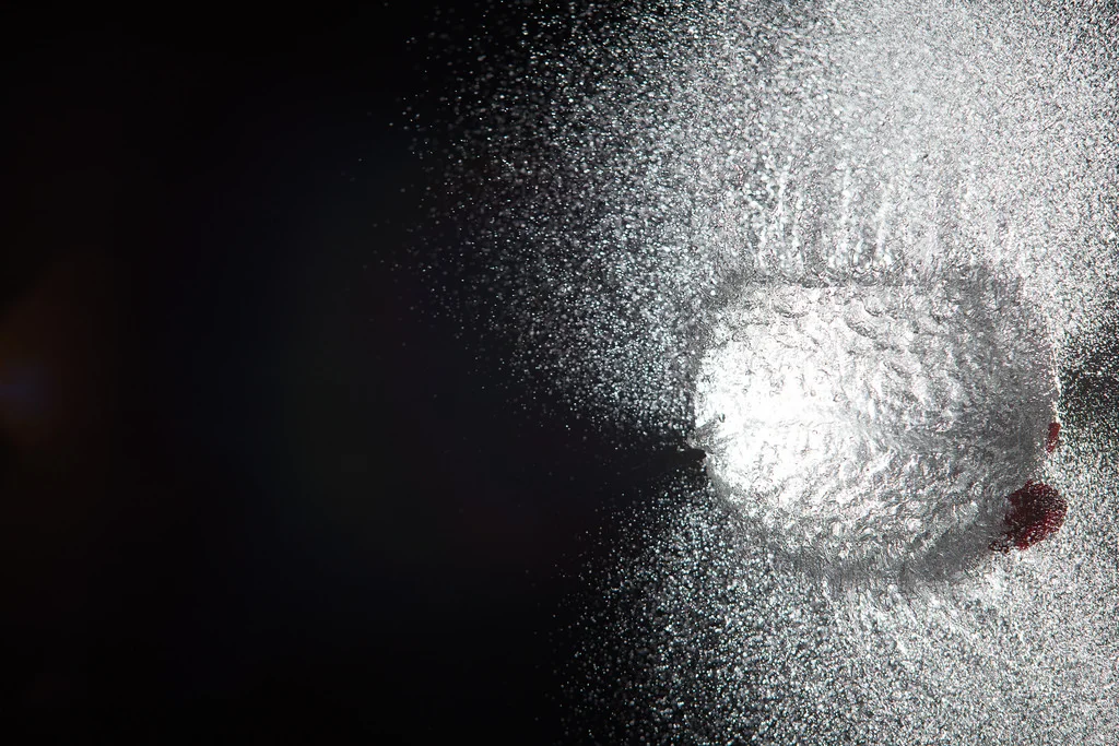 Happy World Photo Day 2015!