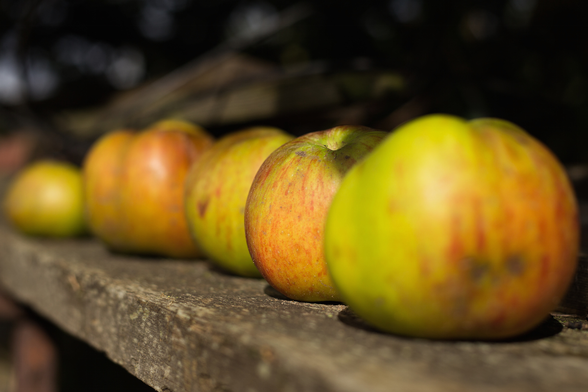 Get a handle on metering modes