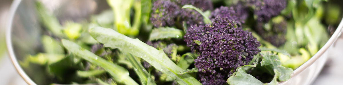 Broccoli header.jpeg