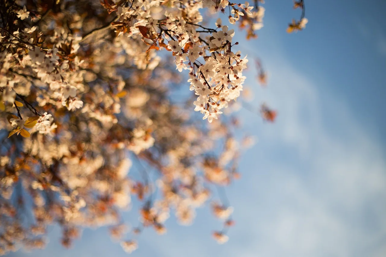 Get on trend for spring and summer with EyeEm