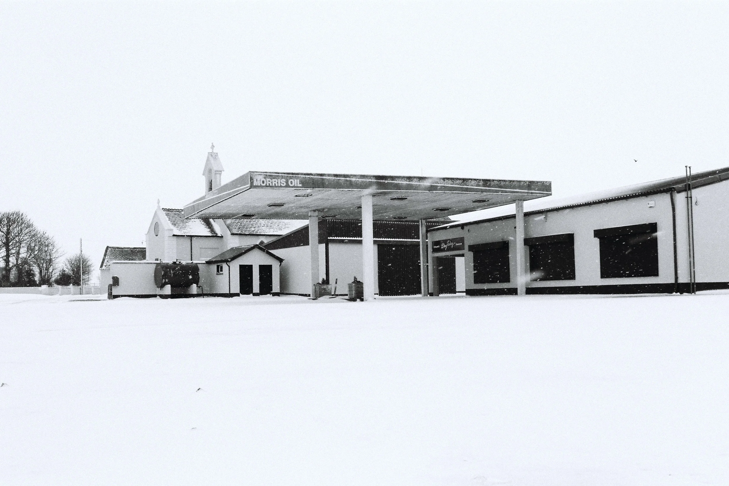 F1000029e.jpg