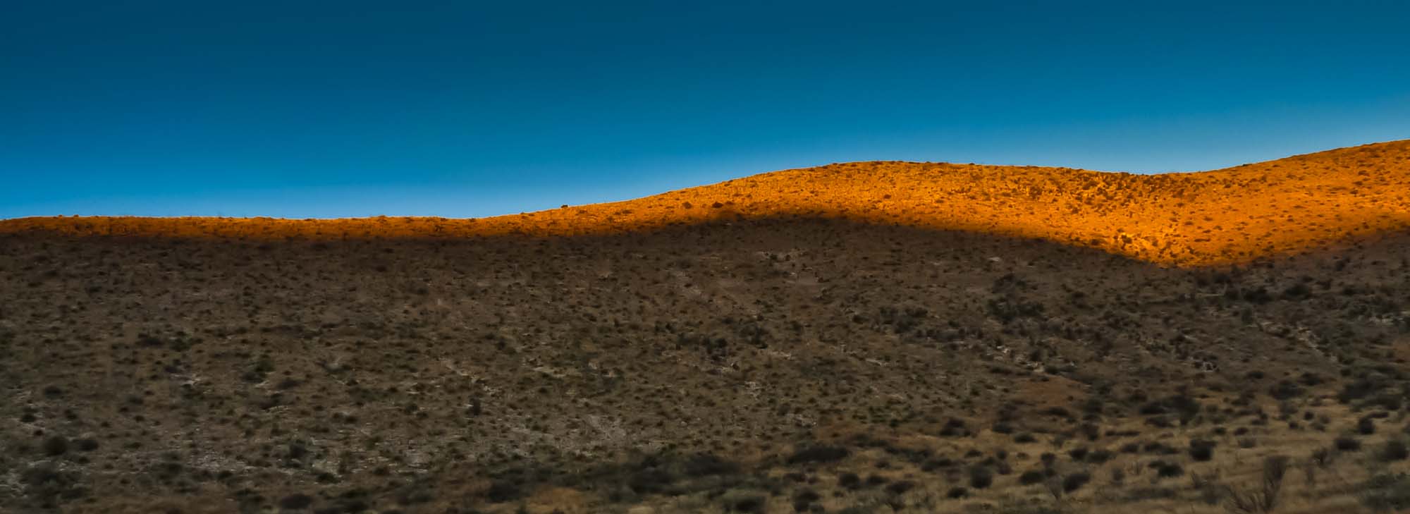 Ridgeline