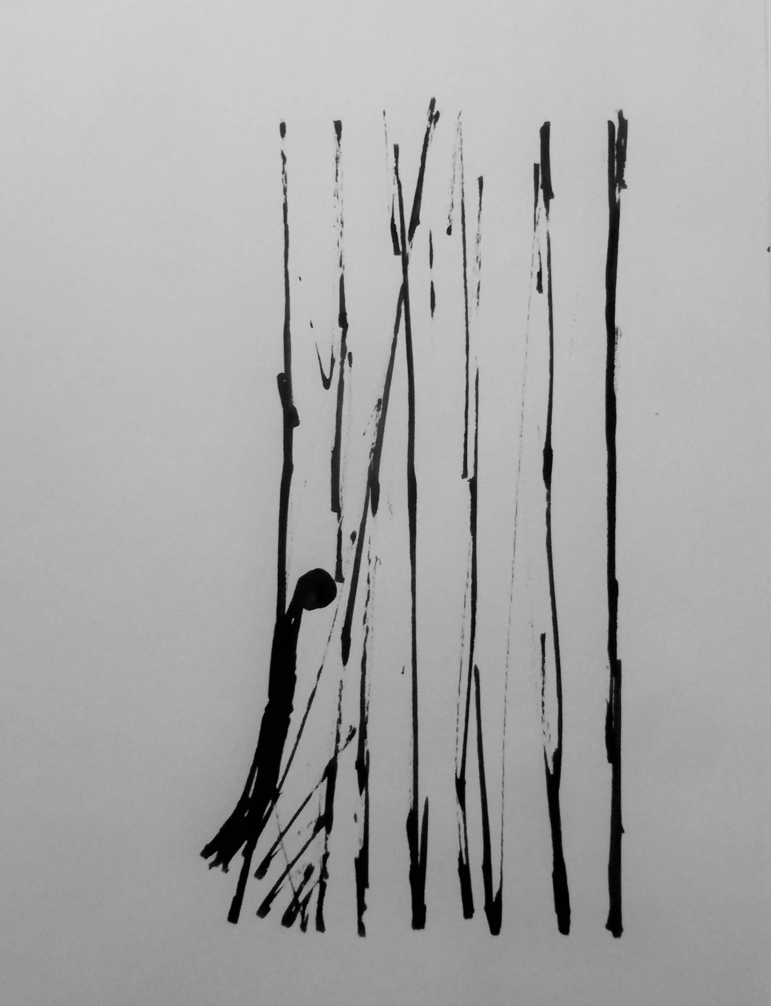 P1110231 (3) - kopie.JPG