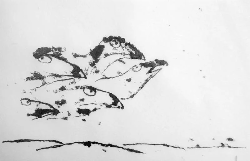 33094-o-23723323.jpg