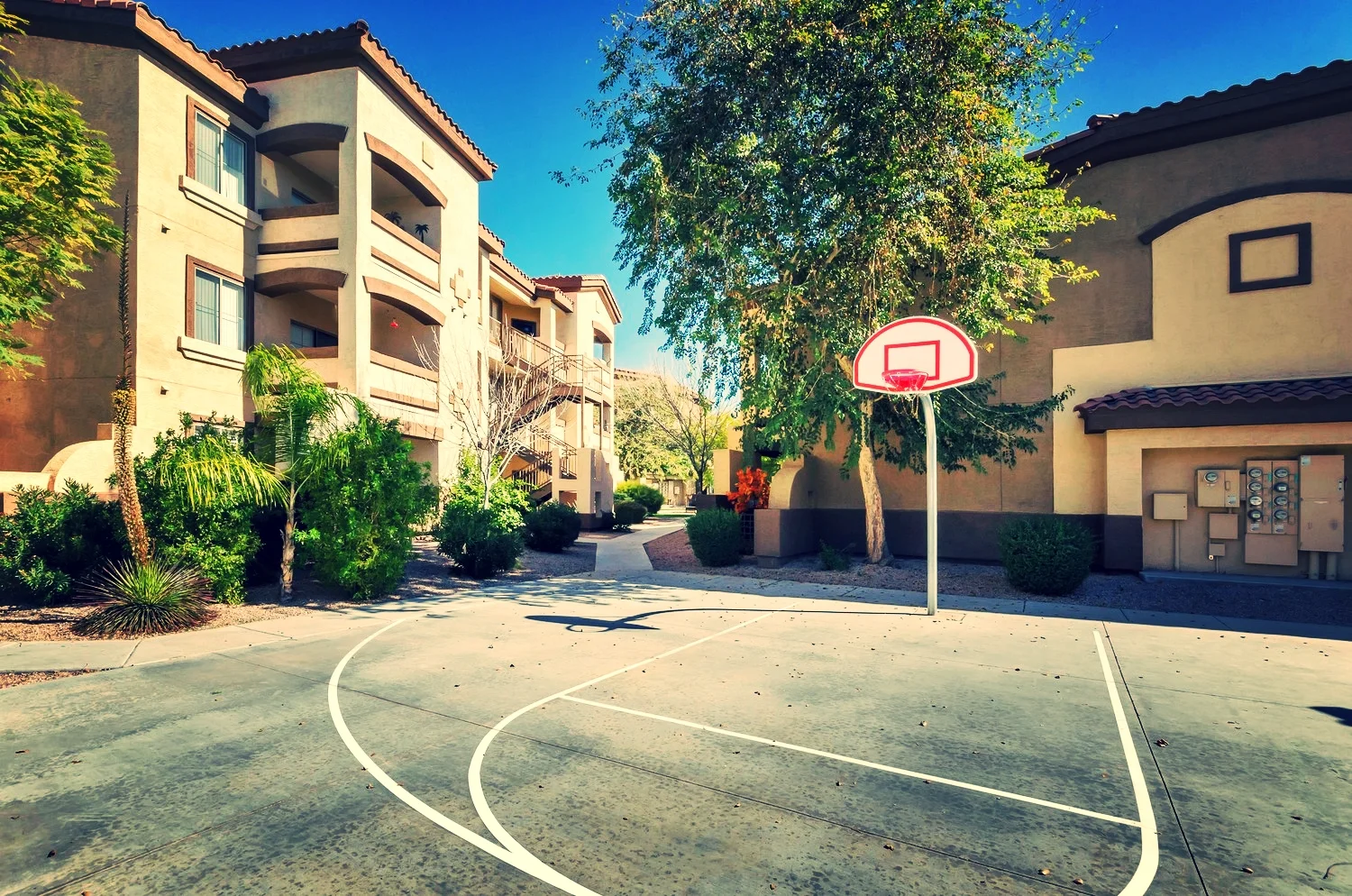 coyote_landing_community_basketball.jpg