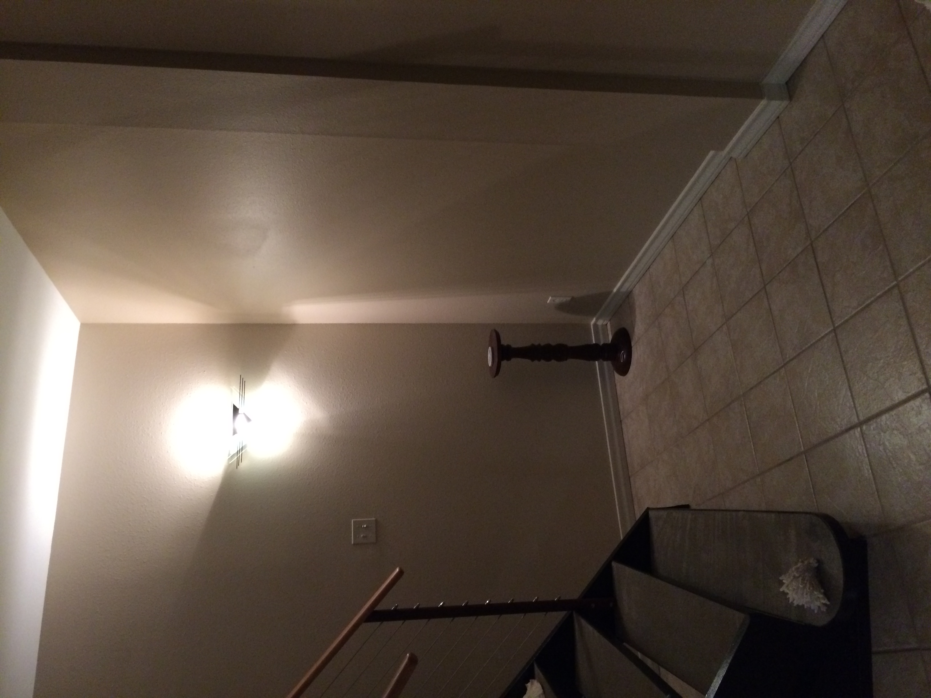 IMG_7239.jpeg