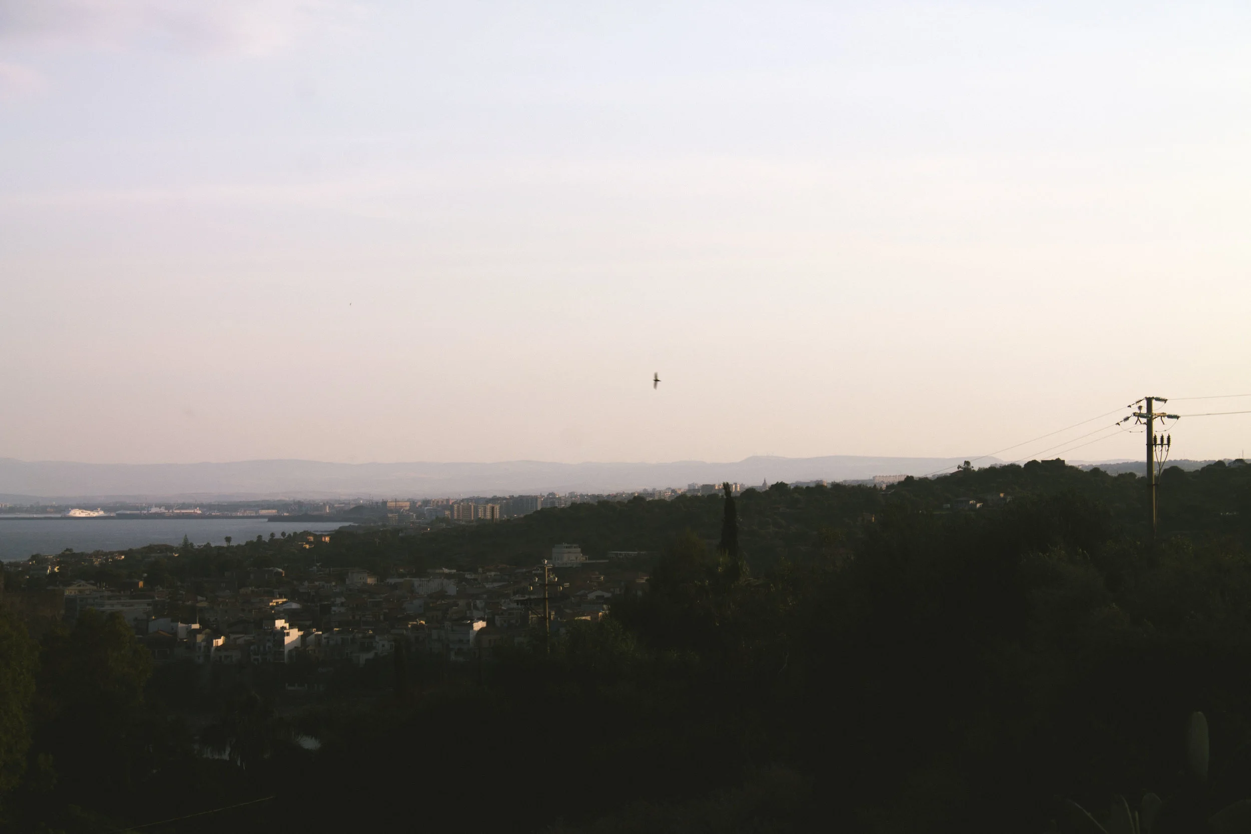 IMG_0873fleet foxes.JPG