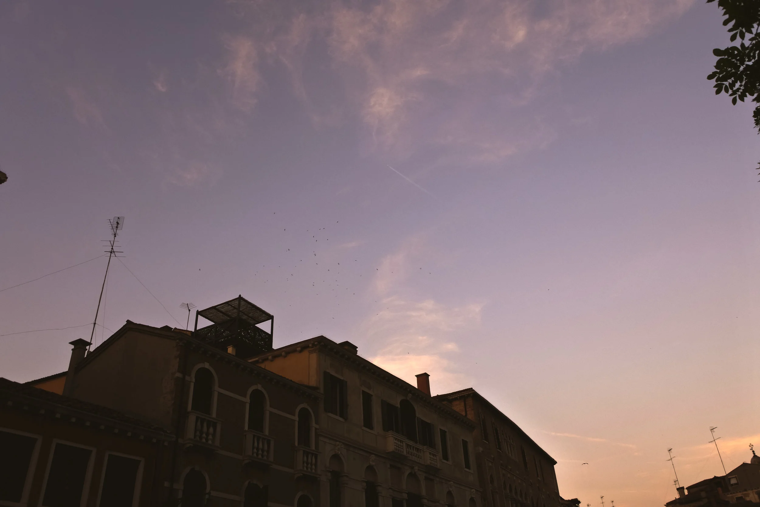 venice sunset.jpg
