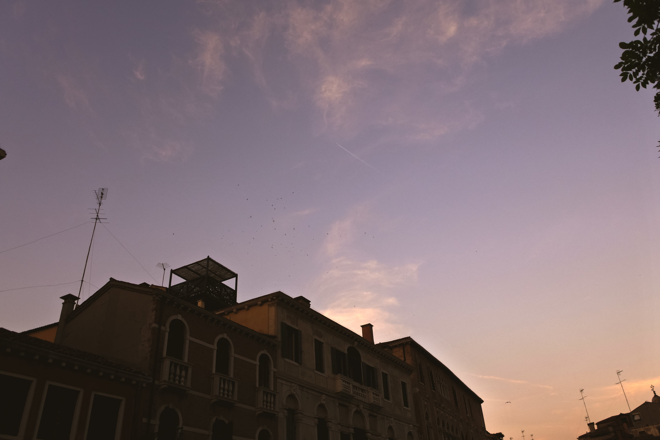 venice sunset.jpg