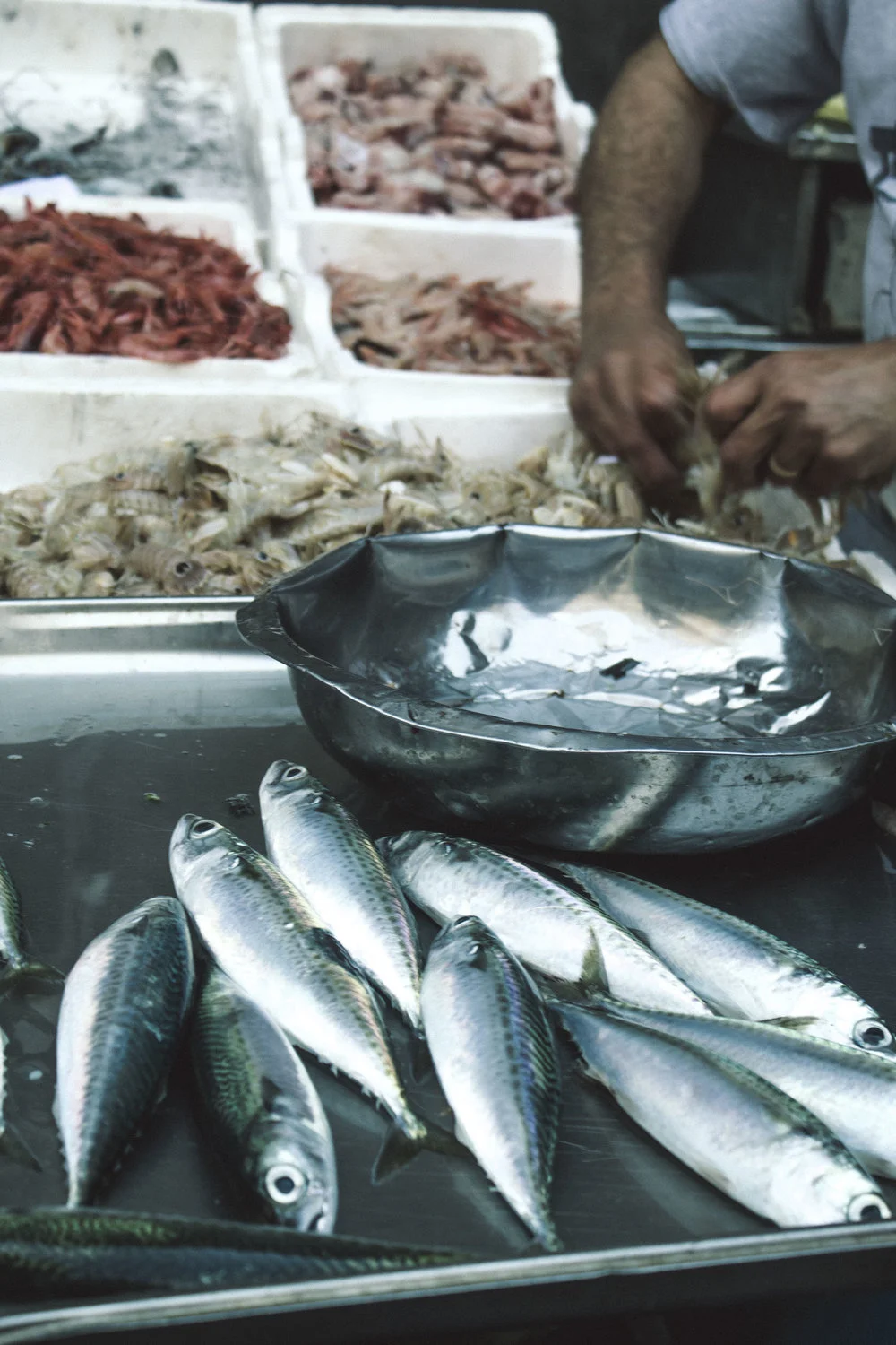 La Pescheria - Catania's Fish Market