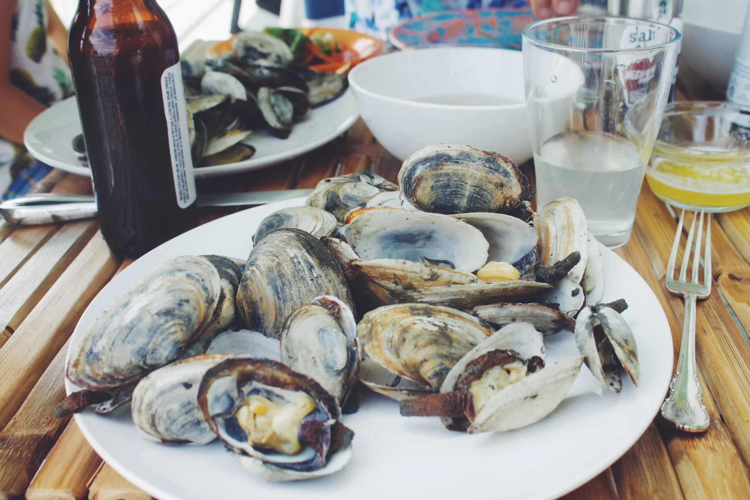  Processed with VSCO with f2 preset Processed with VSCO with f2 preset 