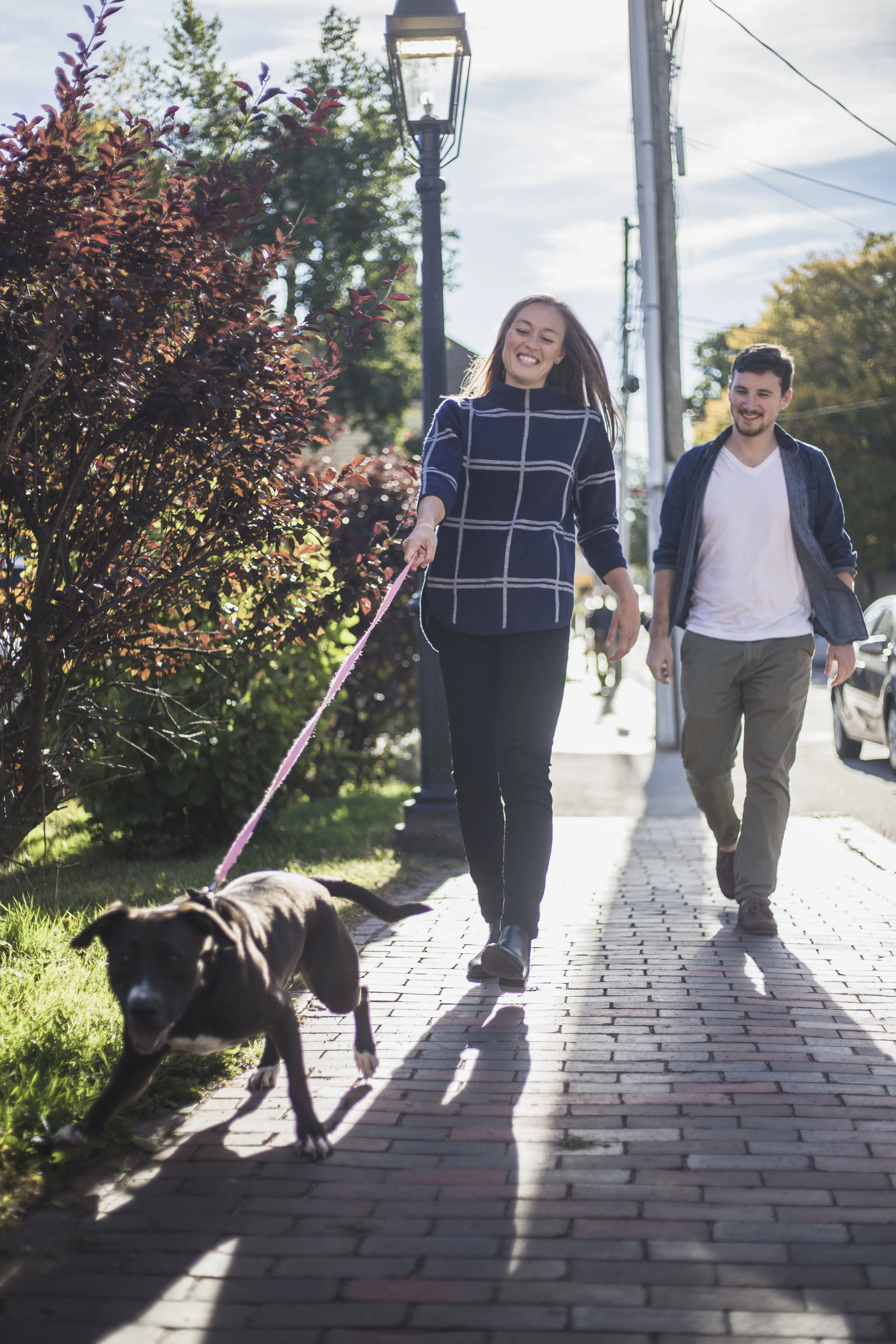 A couple shoot with their dog in Portsmouth, NH