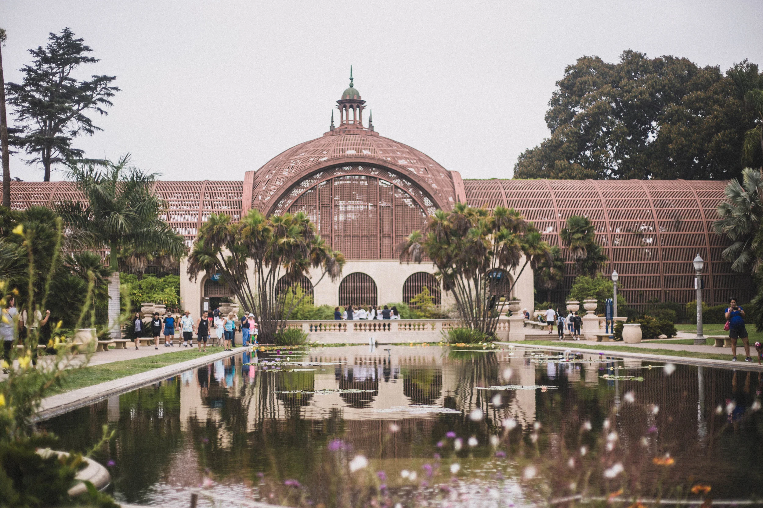 Botanic Garden in Balboa Park (San Diego City Guide)