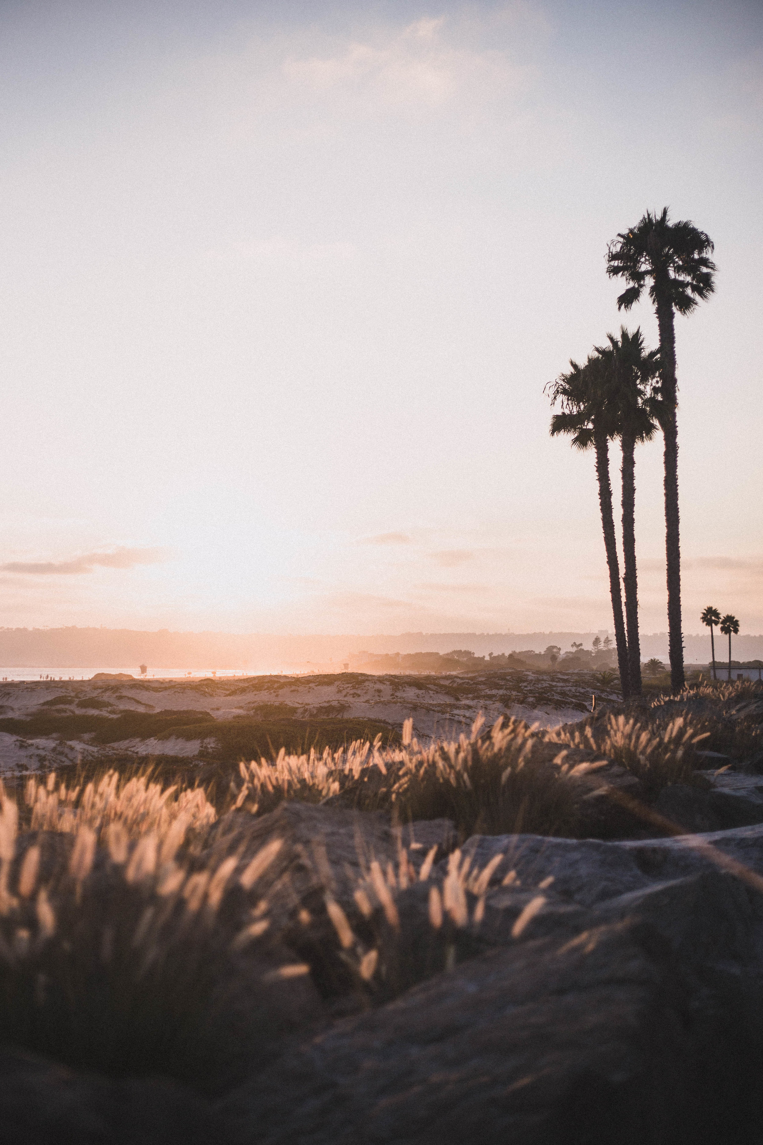 Sunset at Coronado Beach (San Diego City Guide)