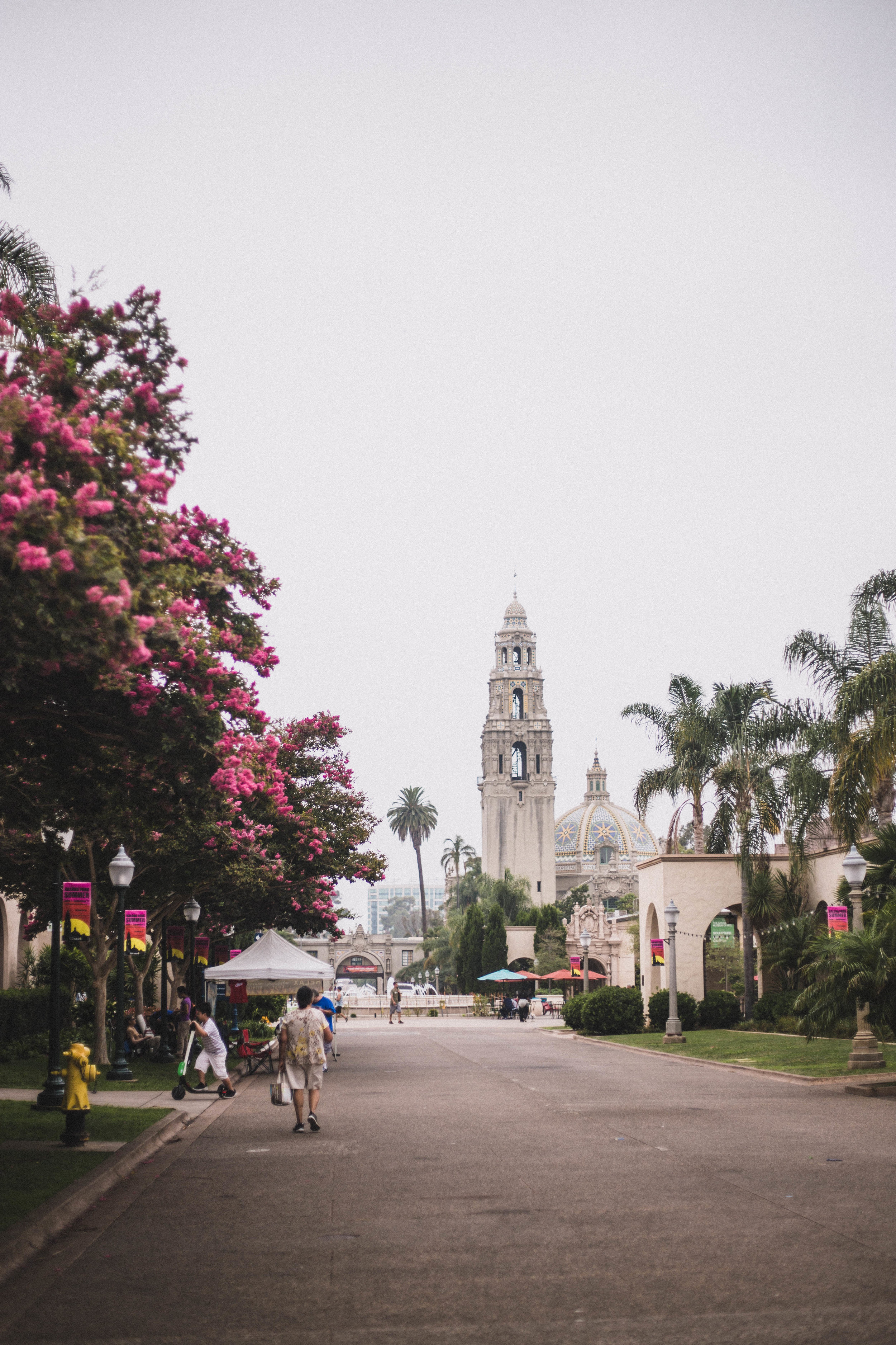 Balboa Park (San Diego City Guide)
