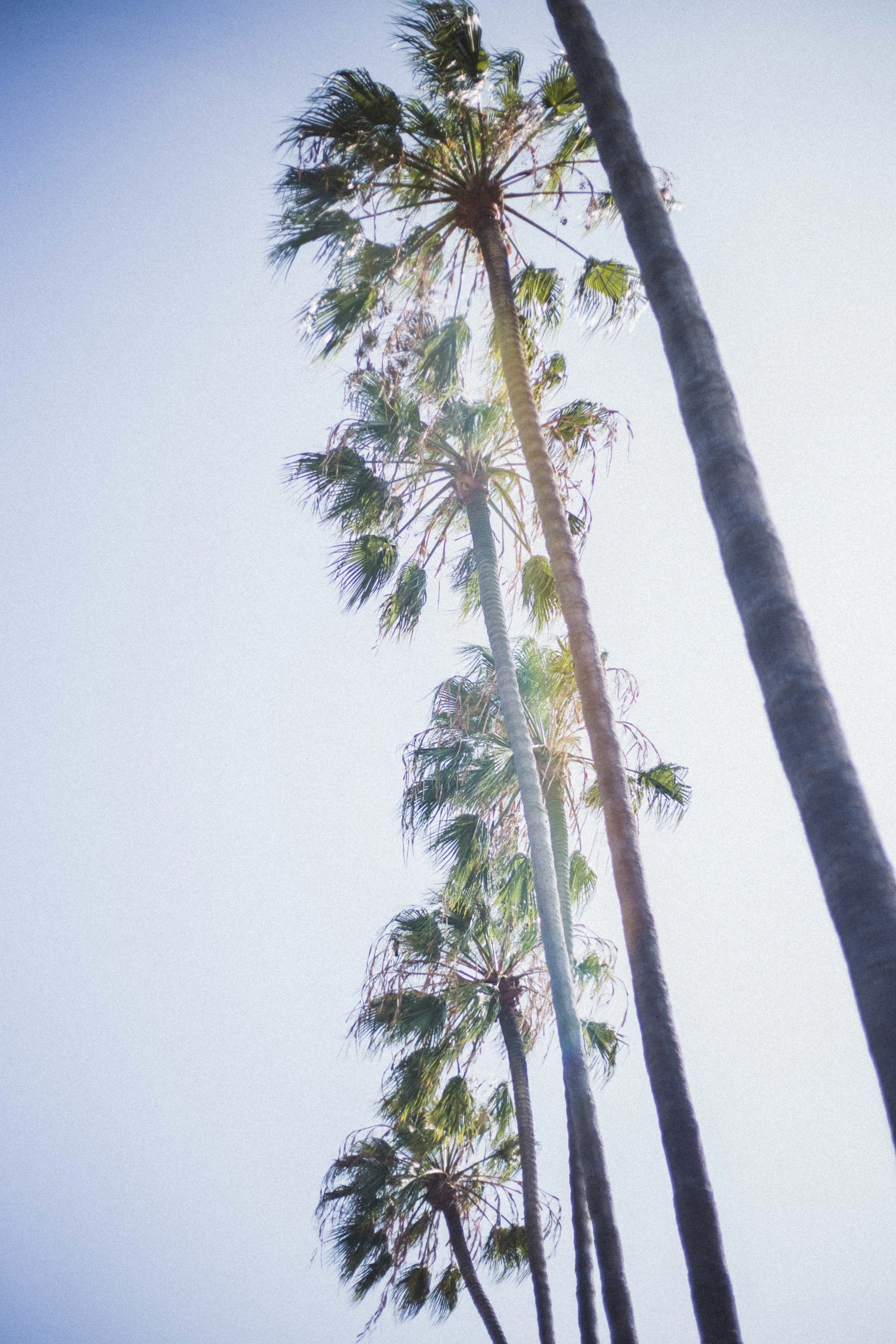 San Diego City Guide