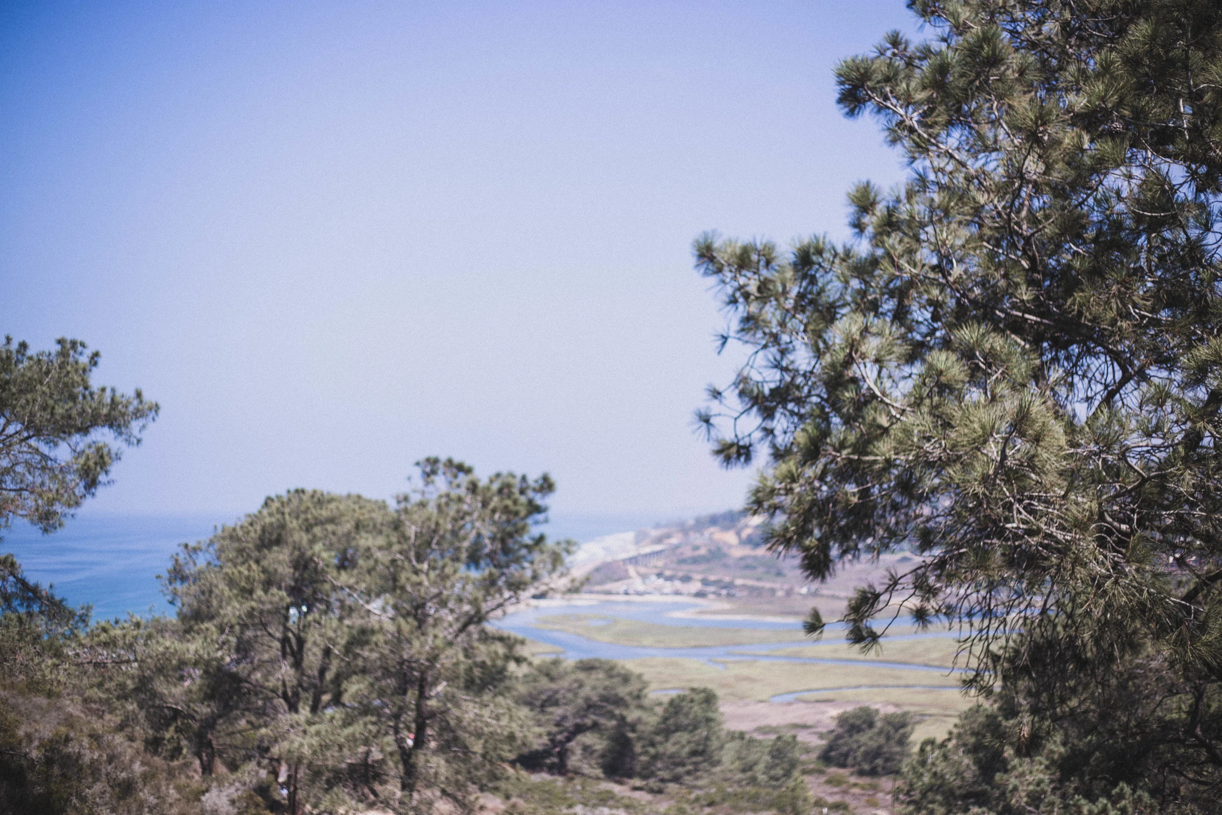 Views from Torrey Pines (San Diego City Guide)