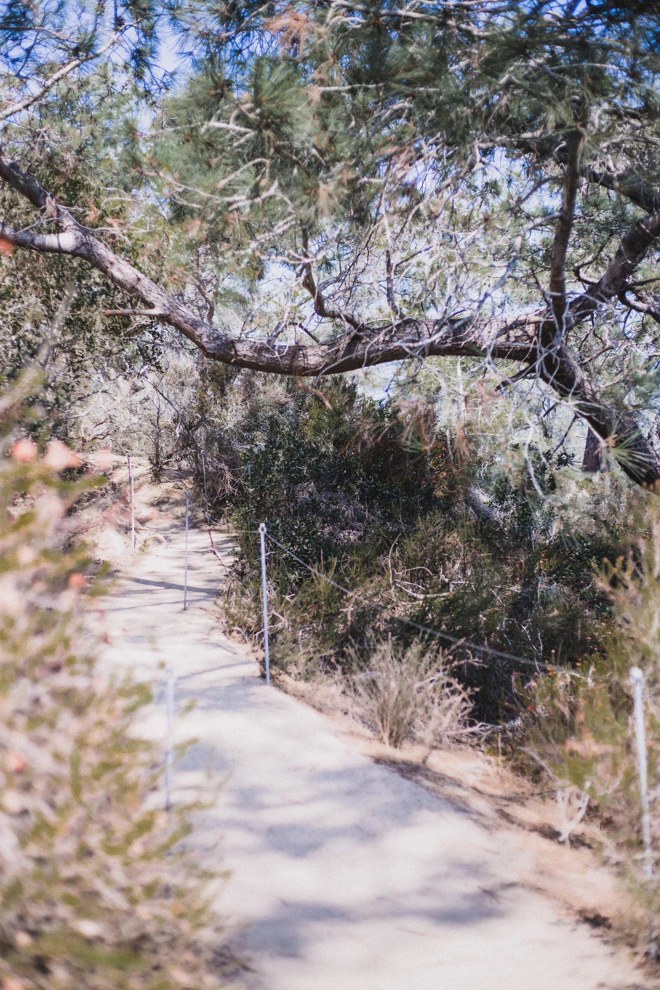 Views from Torrey Pines (San Diego City Guide)