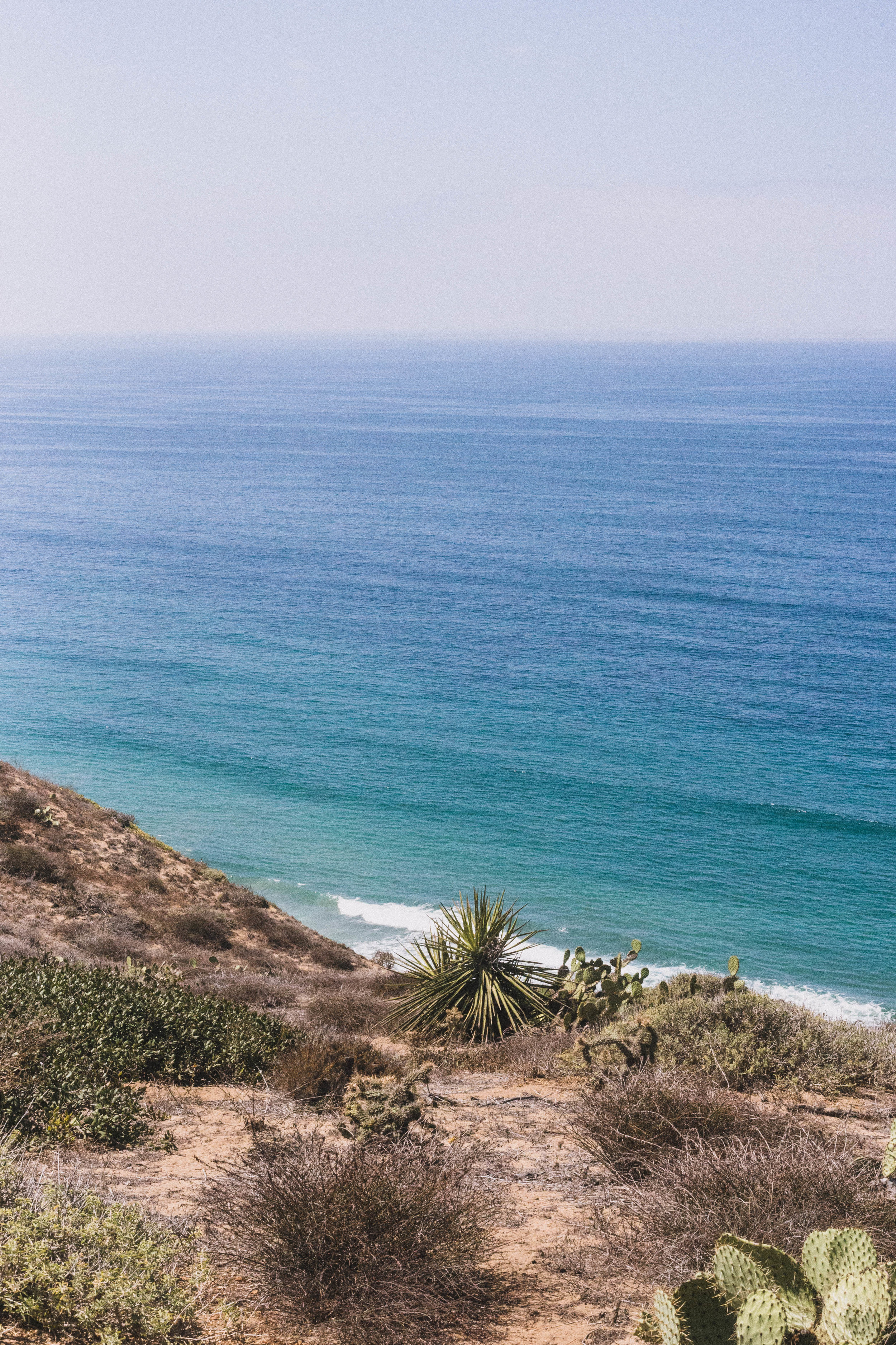 Views from Torrey Pines (San Diego City Guide)