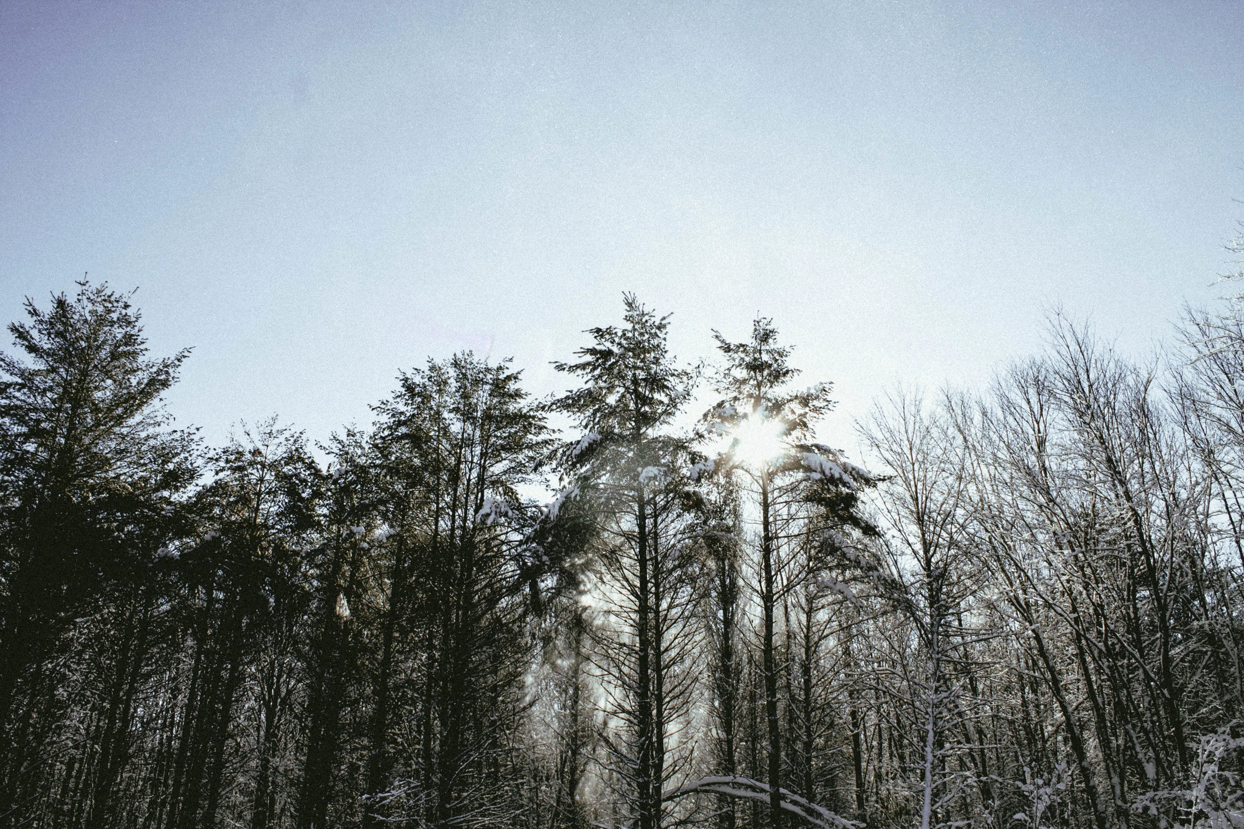 Why Winter in Maine is Just as Magical as Summer in Maine