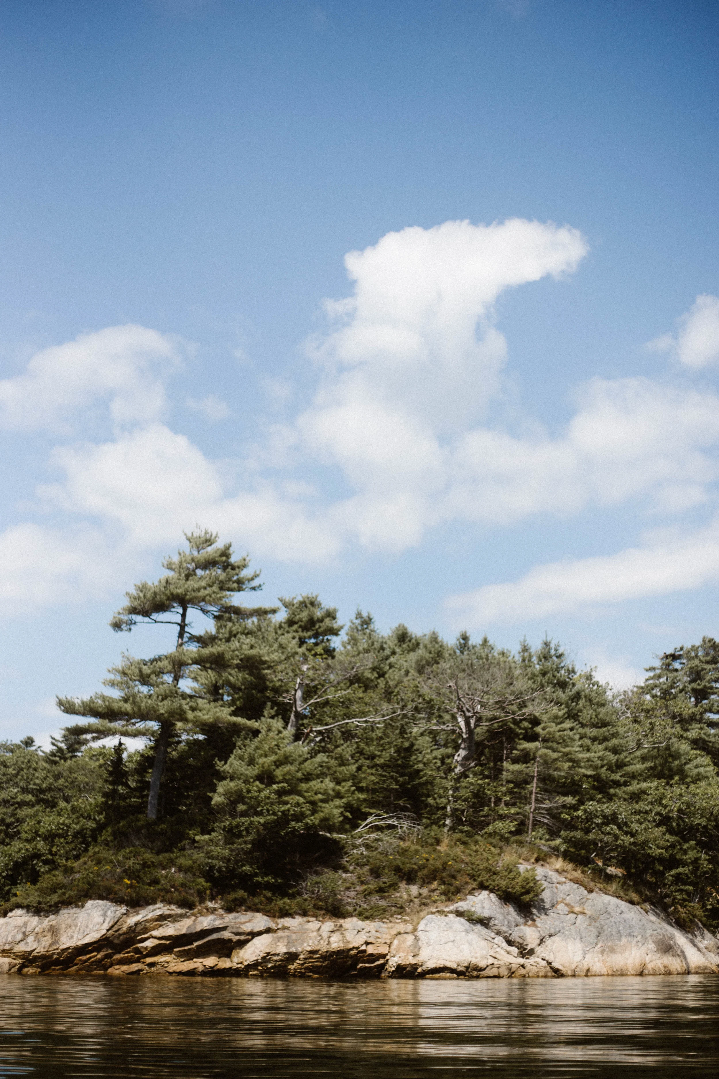 On Home and What Makes It